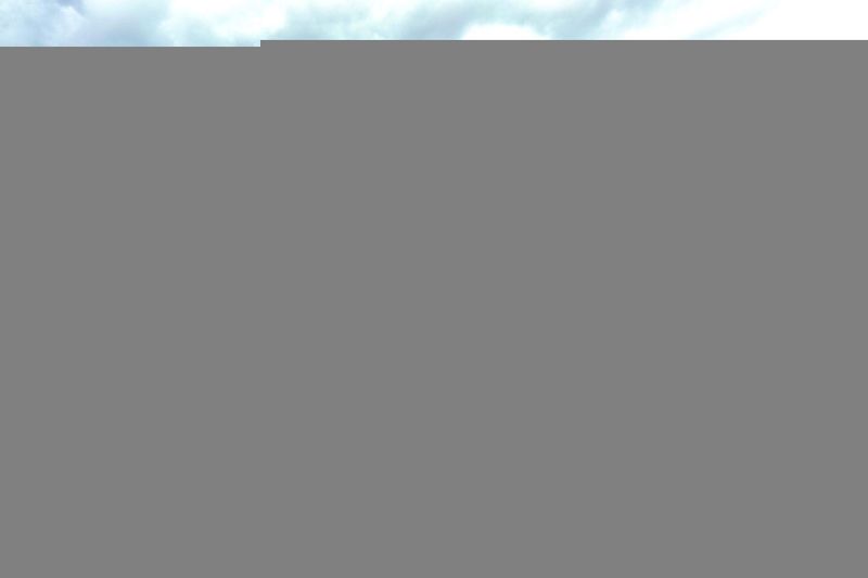 NA Balsam Fir, Willow River, MN 55795
