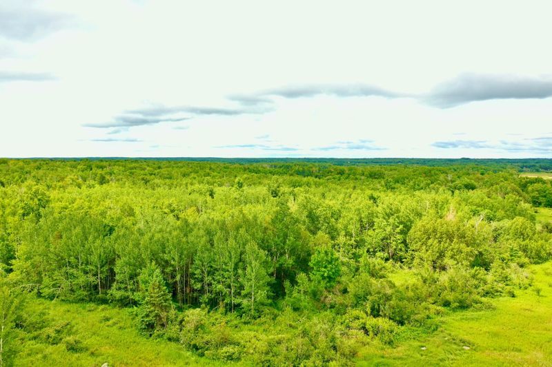 NA Balsam Fir, Willow River, MN 55795