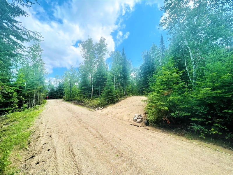TBD W North Star Lake Rd, Marcell, MN 56657