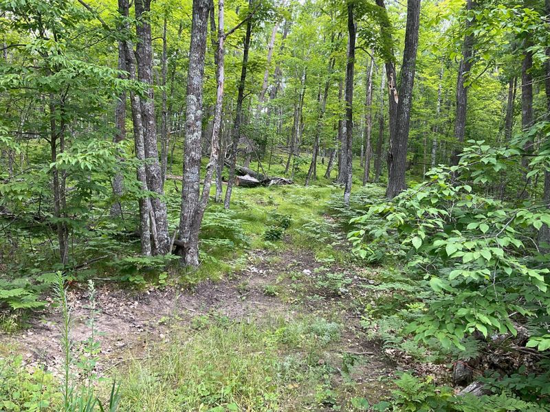 Lot 7 Shore Dr, Emily, MN 56447
