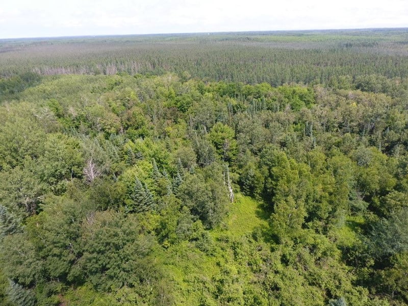 XXX Twp Road 273, Mahtowa, MN 55707
