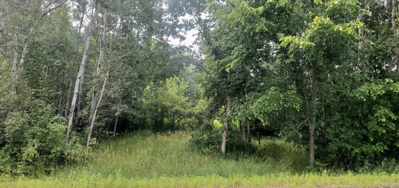 Lot 1 xxx County Road D, Clayton, WI 54004
