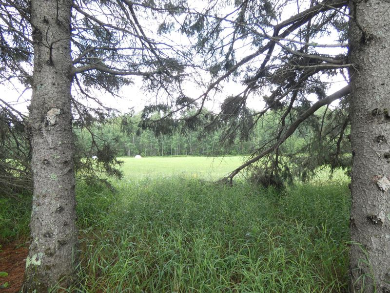 7528 Hill Rd, Virginia, MN 55792