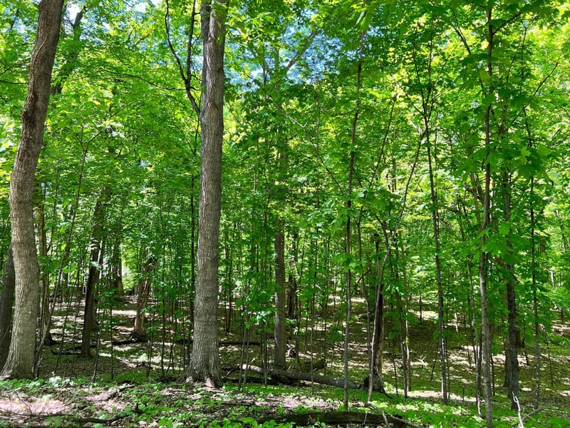 3855 N Shore Dr, Orono, MN 55364