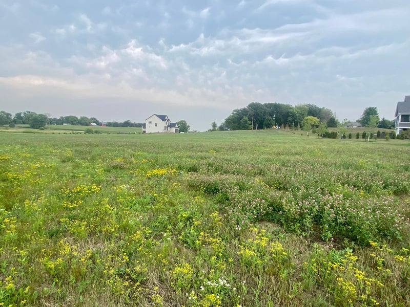 TBD Country Hills Est #L3B2, Racine, MN 55967