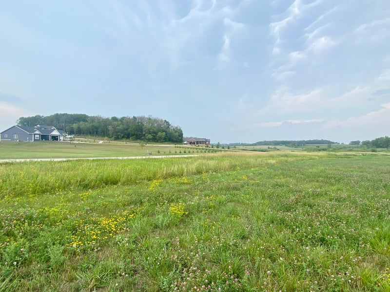 TBD Country Hills Est #L3B2, Racine, MN 55967