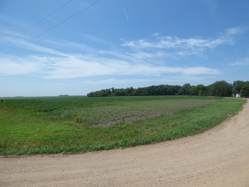 Lot 4 Mckinney Dr, Windom, MN 56101