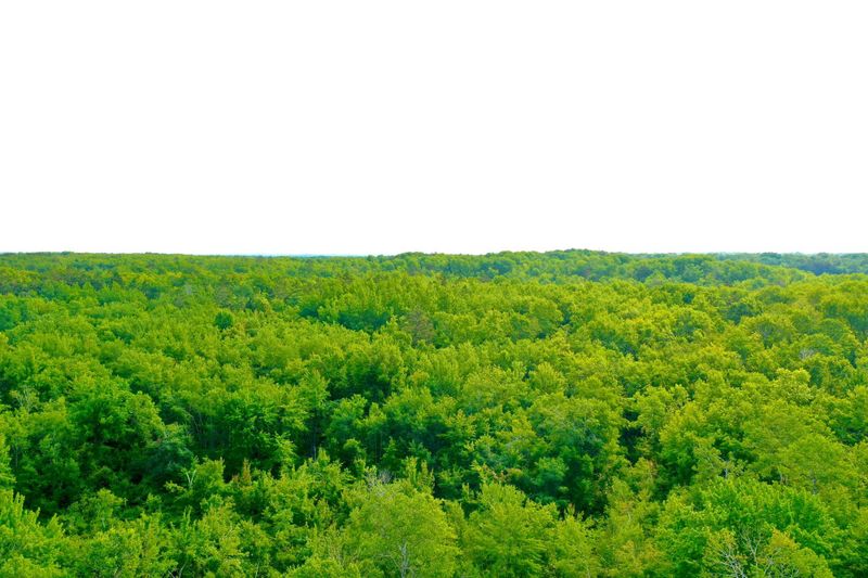 NA Outback Trl, Sandstone, MN 55072