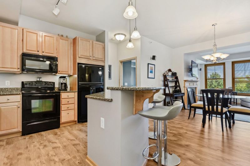 3110 N Chestnut St #203, Chaska, MN 55318