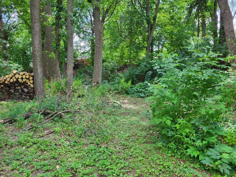 1816 Minnehaha Ave E, Saint Paul, MN 55119