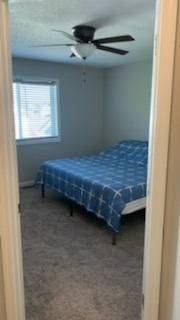 561 Alaska Loop, Cambridge, MN 55008