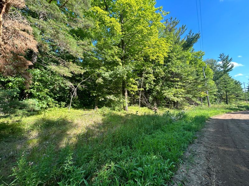 10XXX Maple Ridge Rd, Garrison, MN 56450