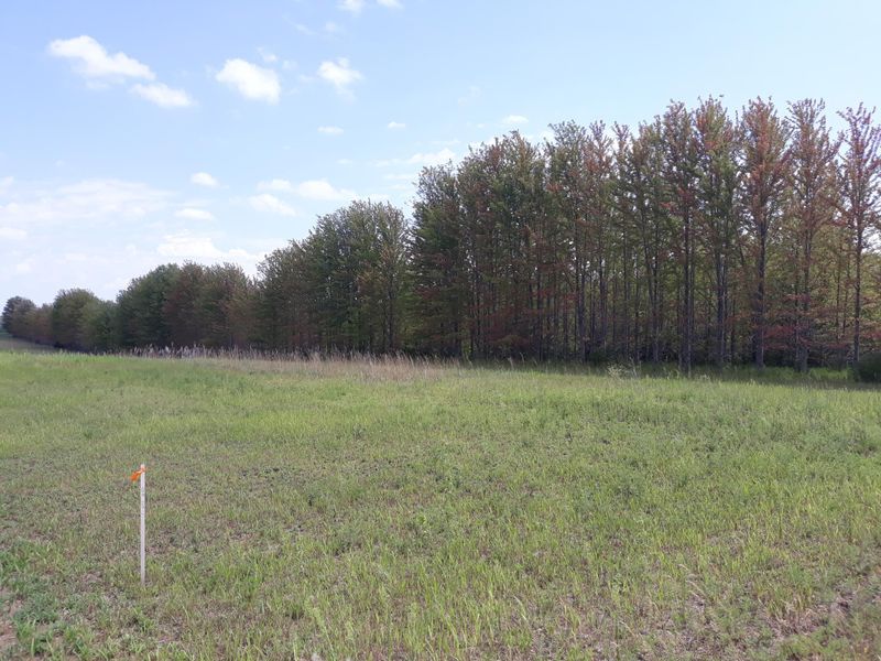 155x Halsey Ave, Carver, MN 55315