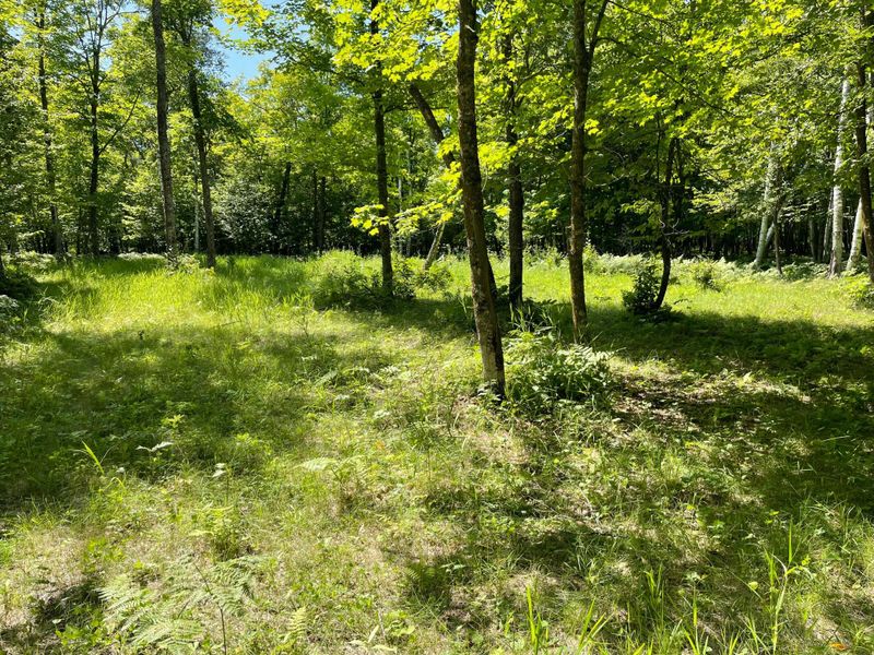 10162 Lamon Rd NE, Bemidji, MN 56601