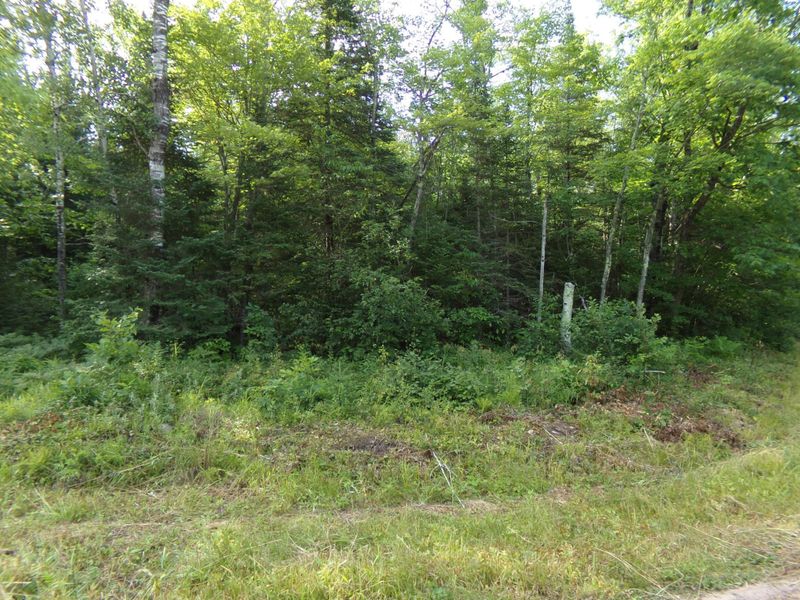 TBD Bennett Rd, Solon Springs, WI 54873