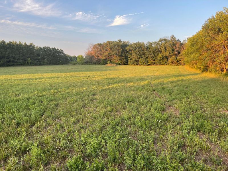 44xxx Jess Ave, Harris, MN 55032