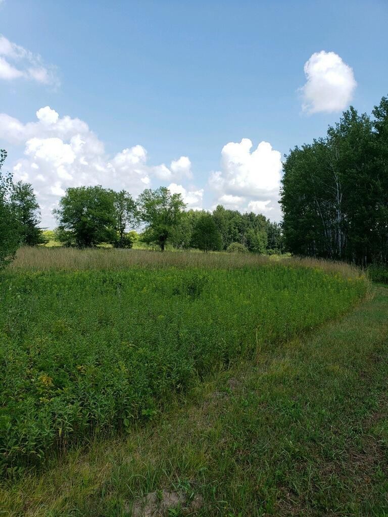 21XXX Cord 79, Elk River, MN 55330
