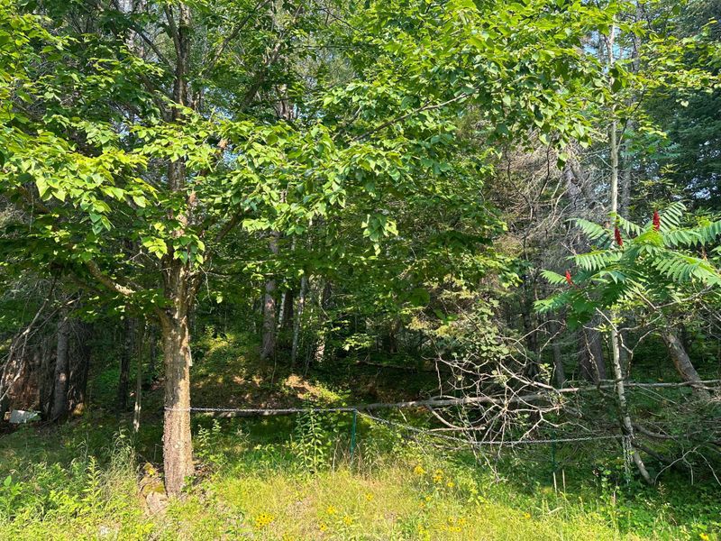 56 County 5 NW, Longville, MN 56655