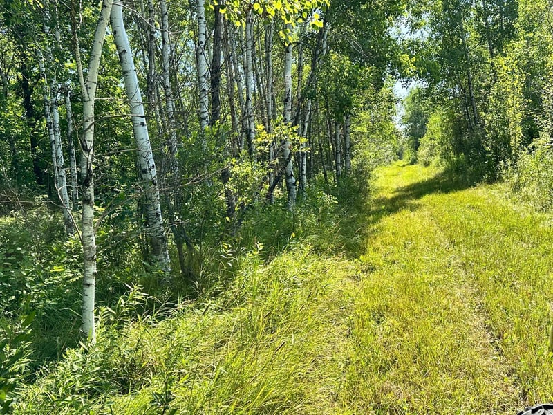 66427 Highway 89 NW, Grygla, MN 56727