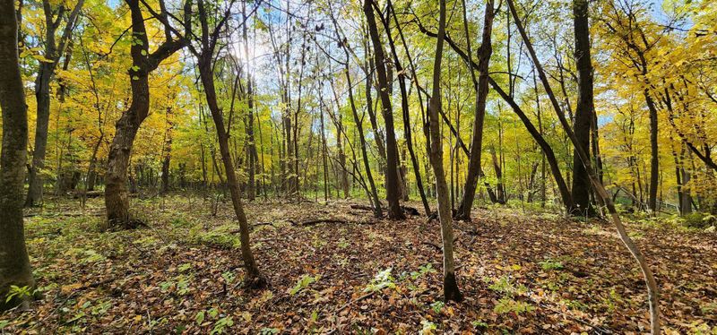 TBD Highway 52 Blvd, Cannon Falls, MN 55009