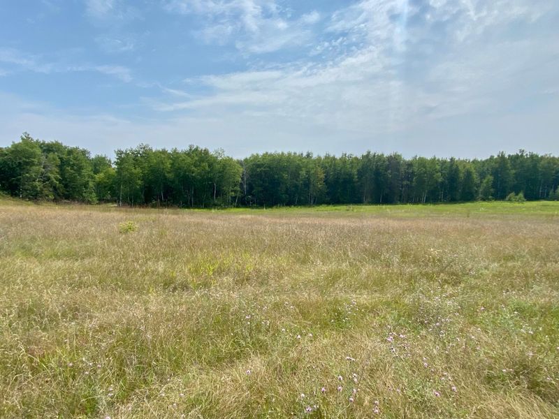 TBD Carr Lake Rd SW, Bemidji, MN 56601