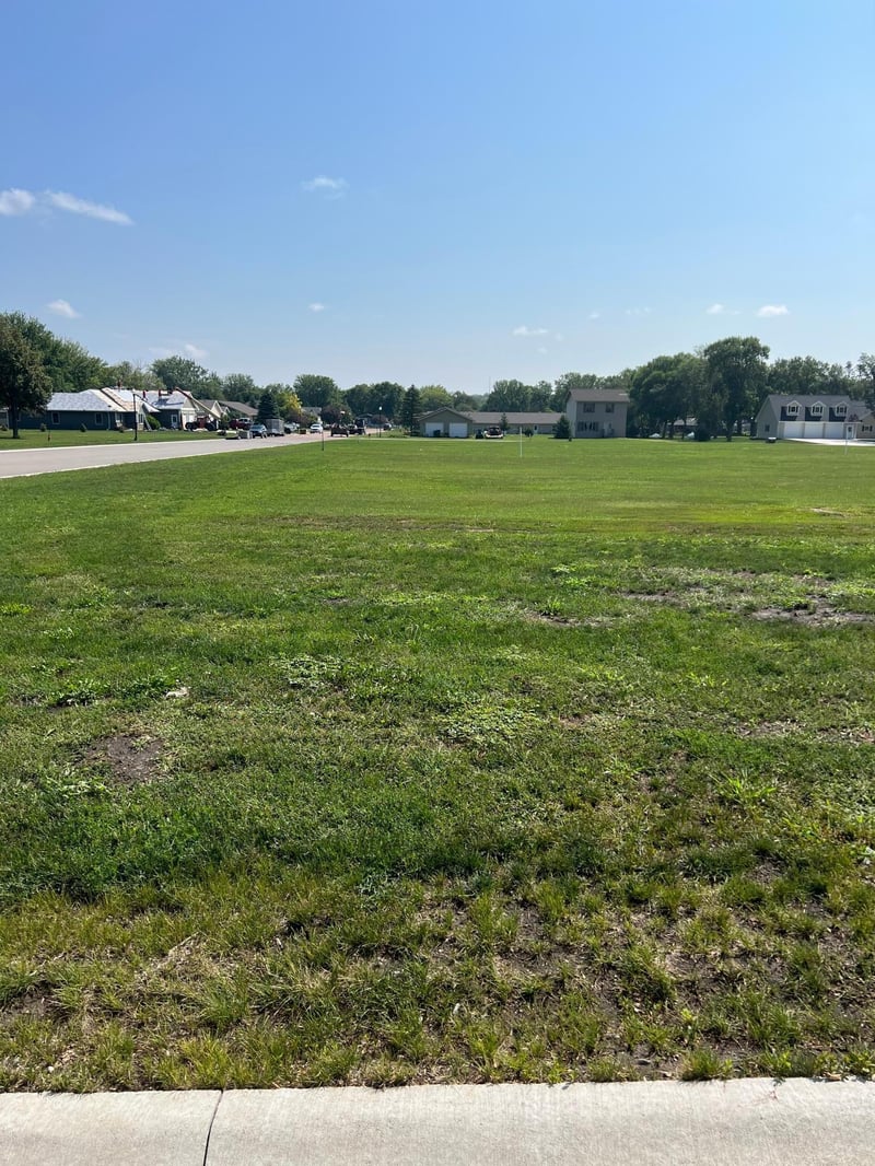 105 - 107 Harrison N, Lake Benton, MN 56149