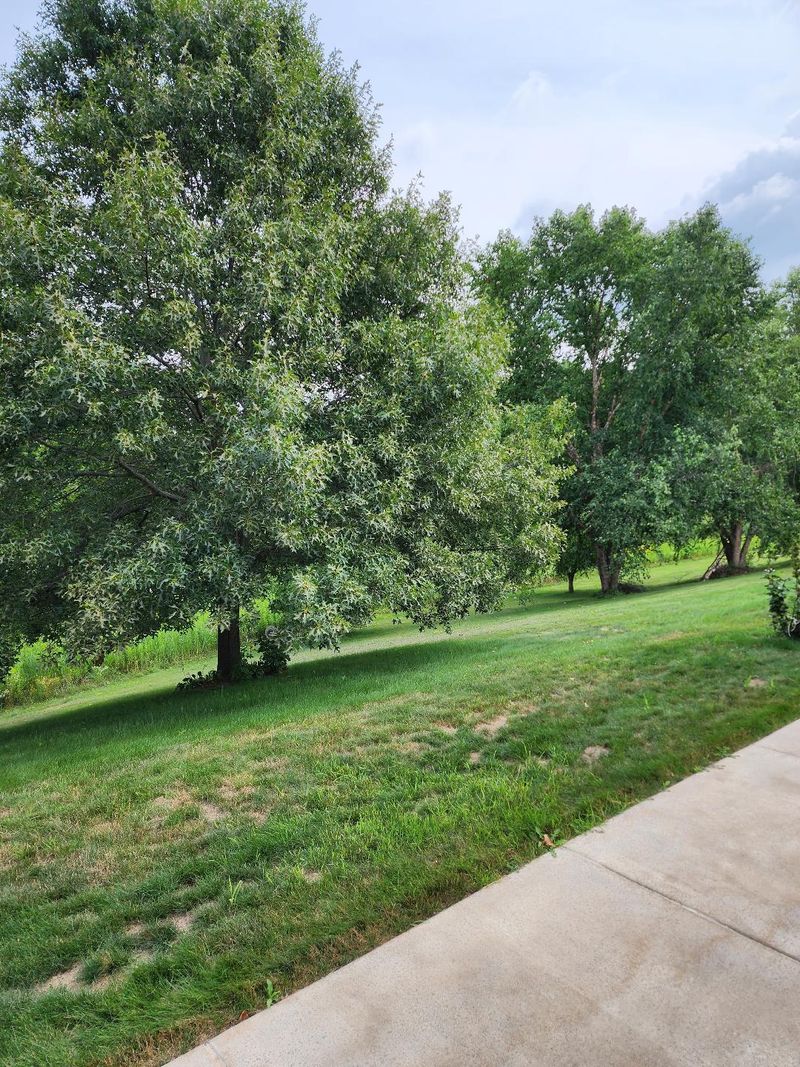 3515 Lever St #3515, Eau Claire, WI 54701