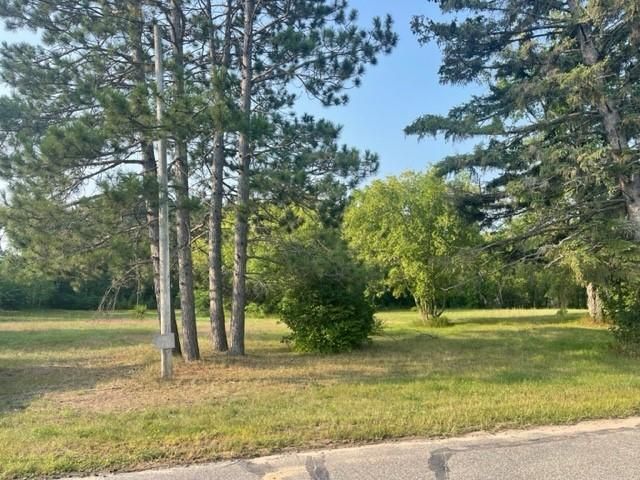 101 Miller St, Nevis, MN 56467