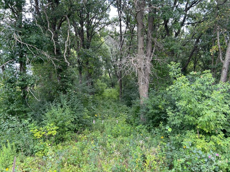 xxx 173rd Ave SE, Becker, MN 55308