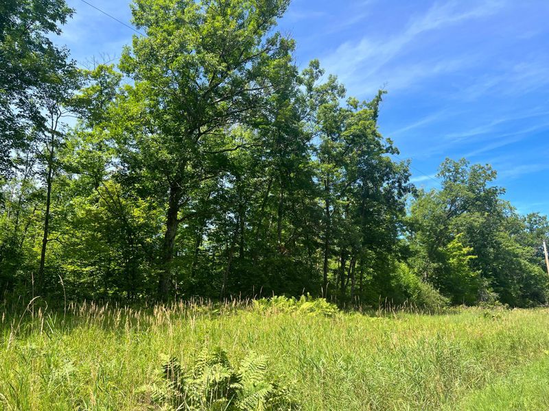 NA Olympic St, Isle, MN 56342