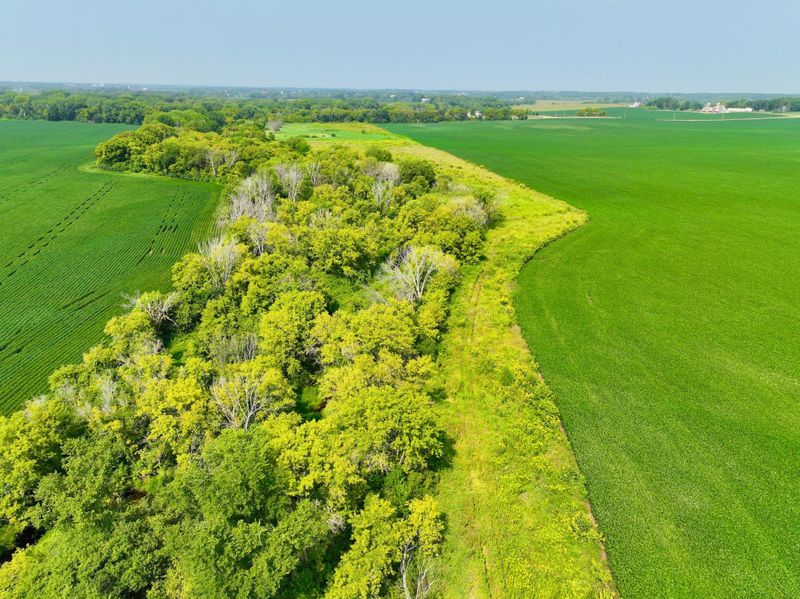 xxxx Foliage Ave, Northfield, MN 55057