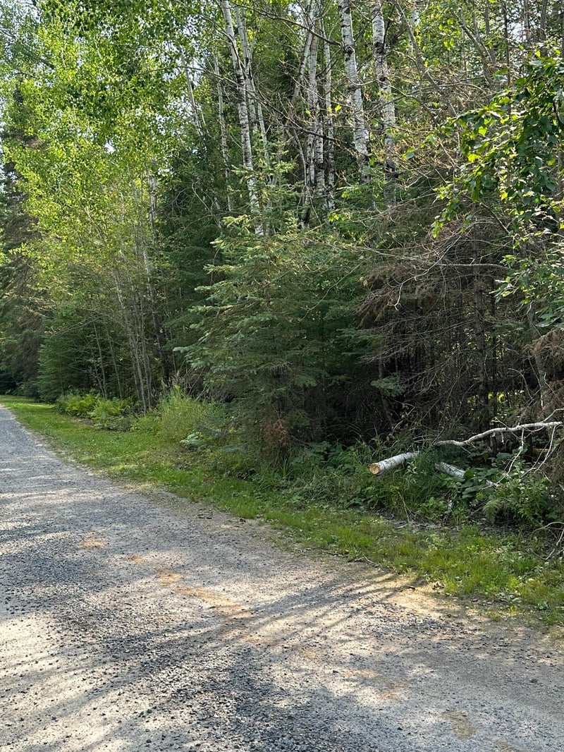 TBD Tomahawk Ln, Kabetogama, MN 56669