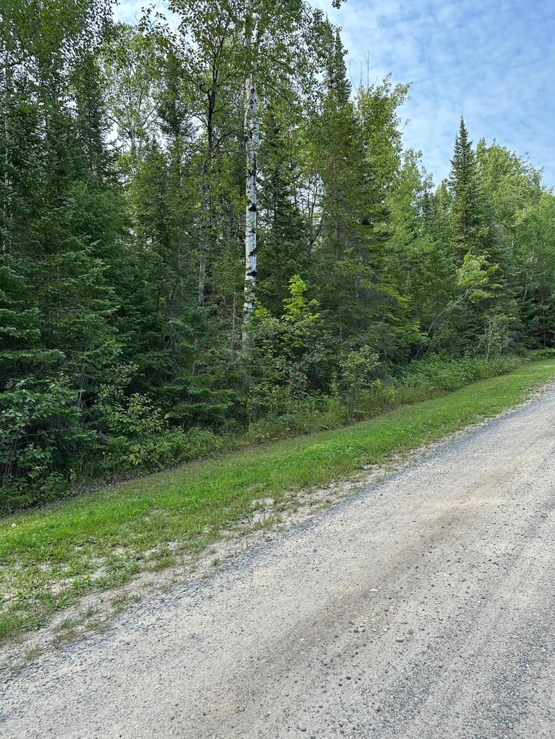 TBD-2 Tomahawk Ln, Kabetogama, MN 56669