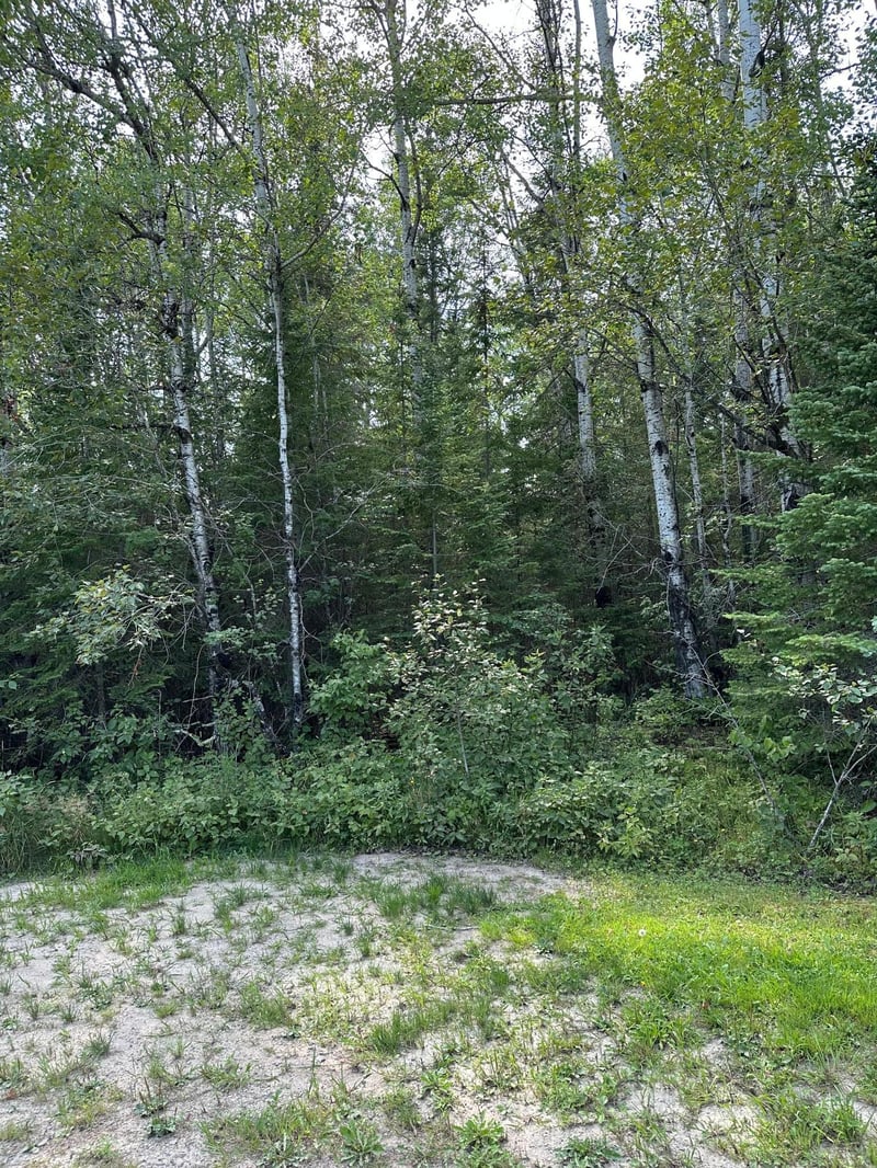 TBD-2 Tomahawk Ln, Kabetogama, MN 56669