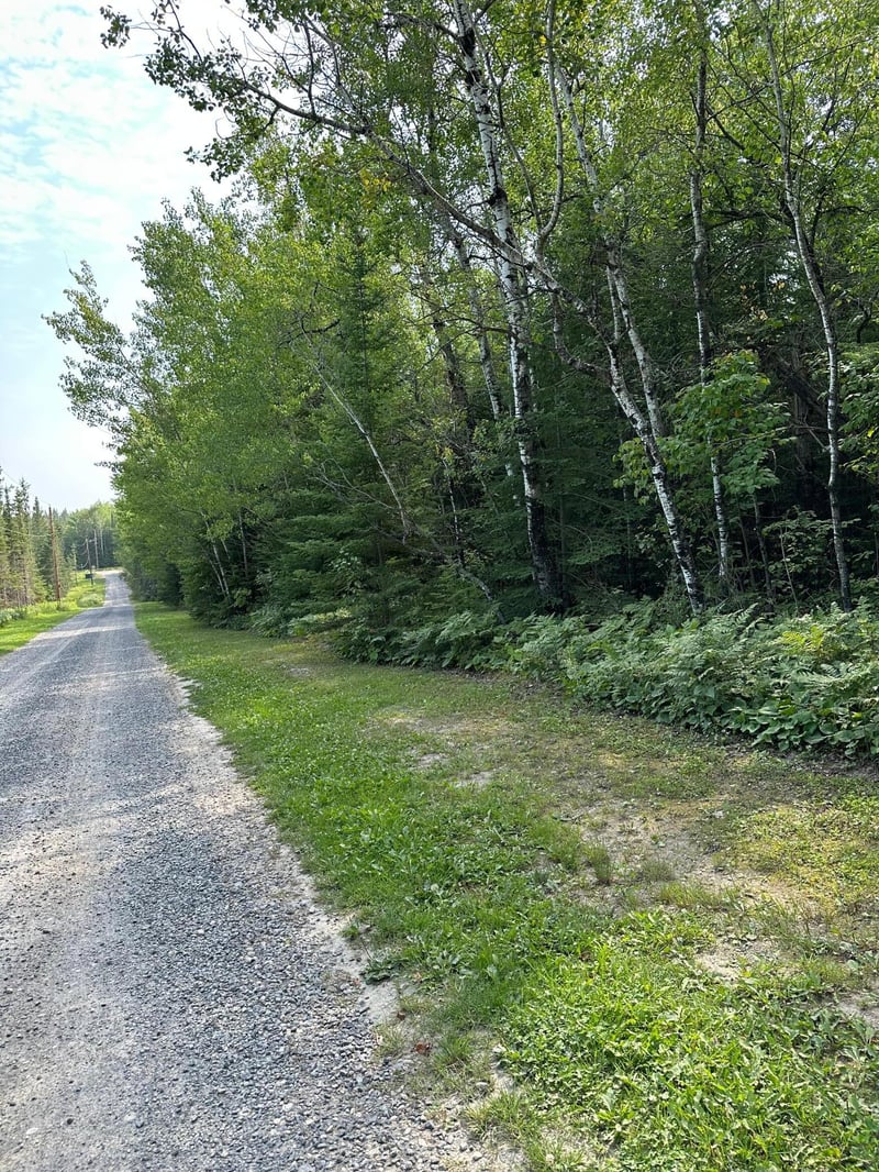 TBD-2 Tomahawk Ln, Kabetogama, MN 56669