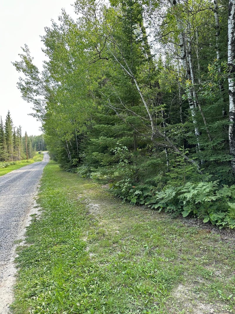 TBD-2 Tomahawk Ln, Kabetogama, MN 56669