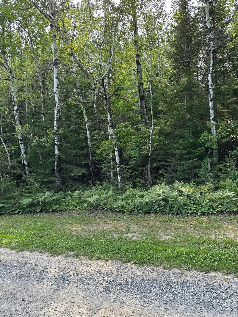 TBD-2 Tomahawk Ln, Kabetogama, MN 56669