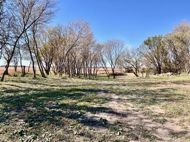 20460 250th St, Lucan, MN 56255