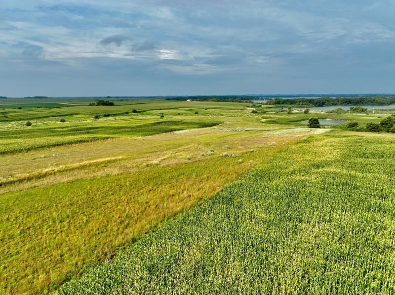 XXX 210th St, Currie, MN 56123
