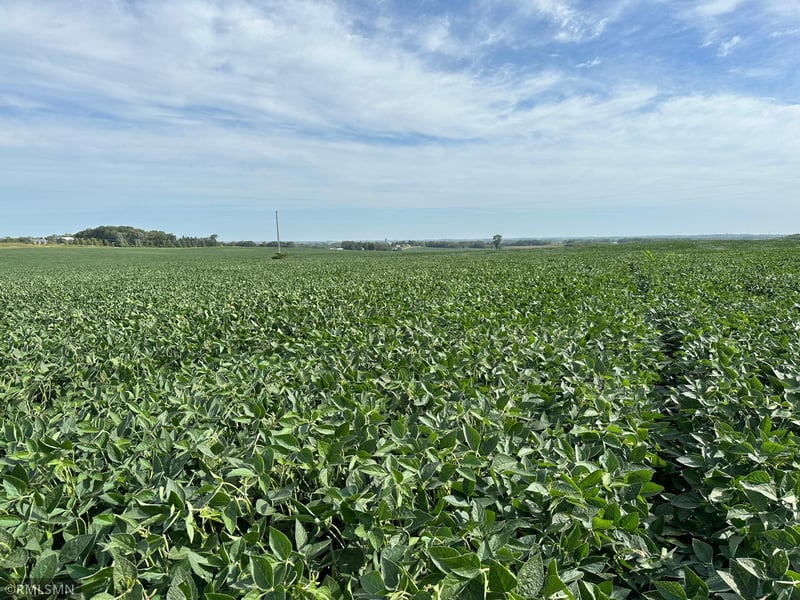 xxxx W 265th, Farmington, MN 55024