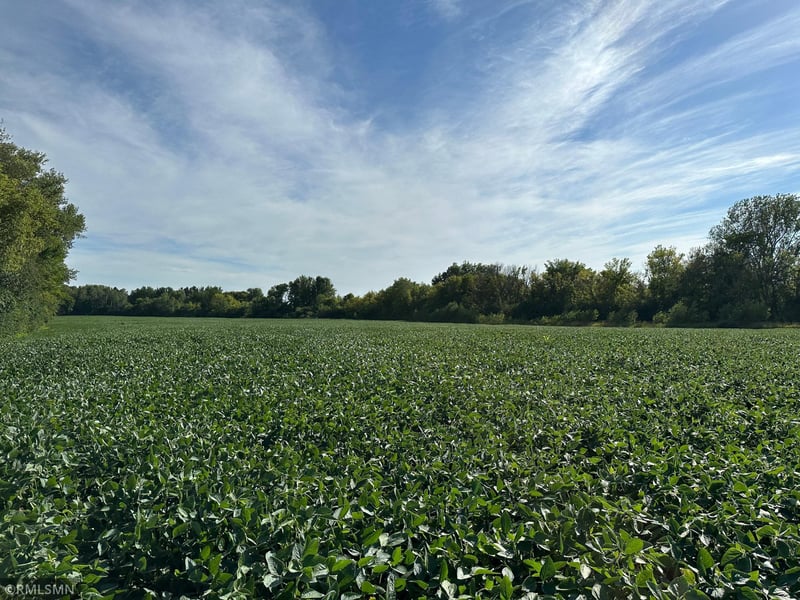 xxxx W 265th, Farmington, MN 55024