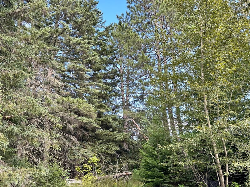 8282 County Road 30, Big Falls, MN 56627