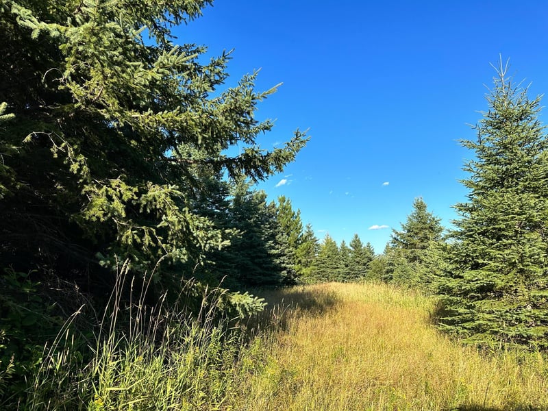 8282 County Road 30, Big Falls, MN 56627