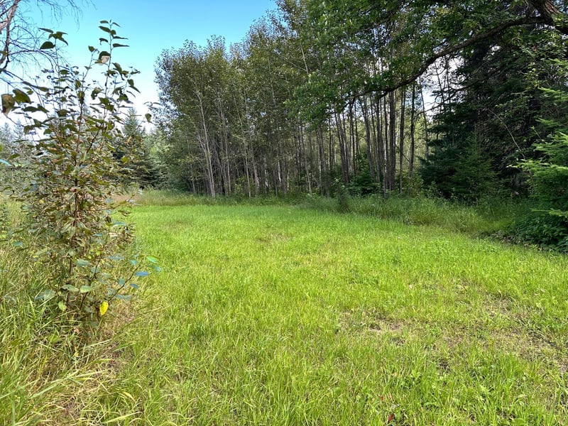 8282 County Road 30, Big Falls, MN 56627