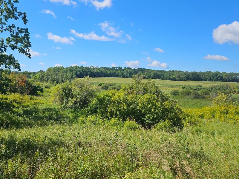 XXX County Highway 59, Vining, MN 56588