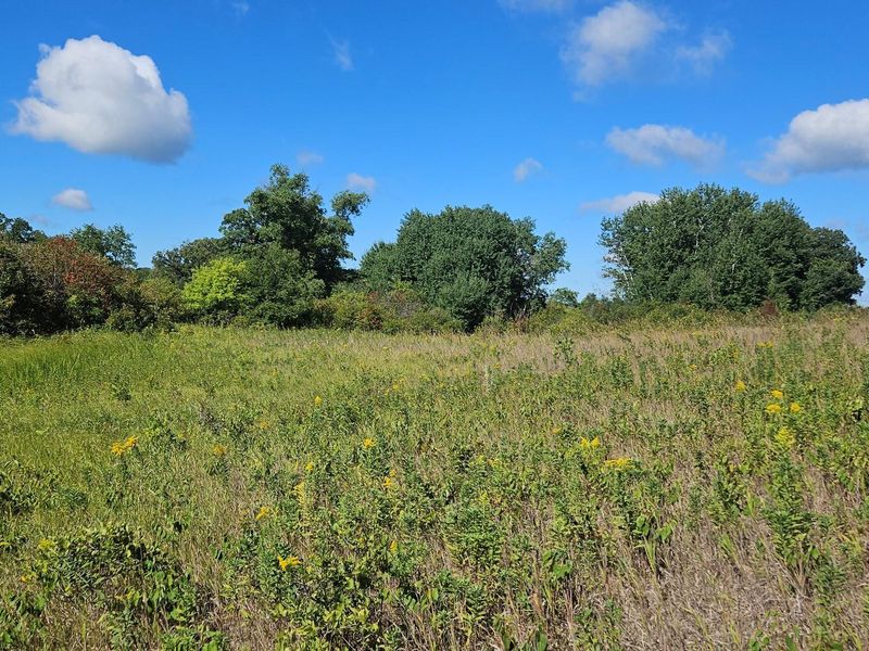 XXX County Highway 59, Vining, MN 56588