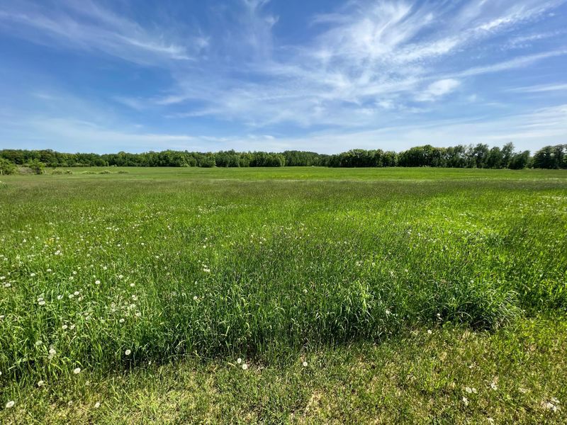 000 Contrast, Pine City, MN 55063
