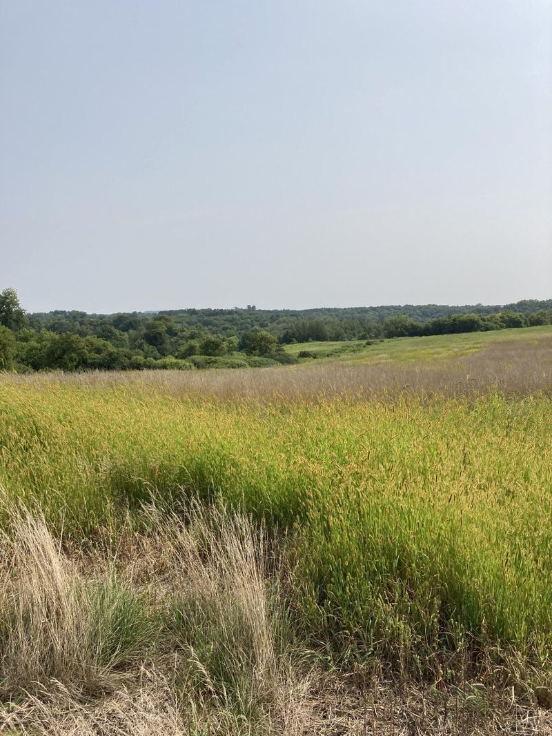 N7076 450th St, Beldenville, WI 54003
