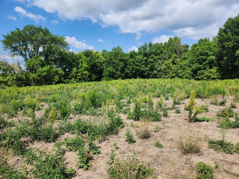 0 Creek Rd, Chaska, MN 55318