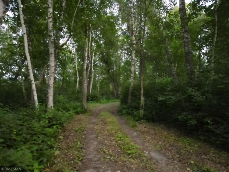 32544 Little Dreamcatcher Dr, Park Rapids, MN 56470